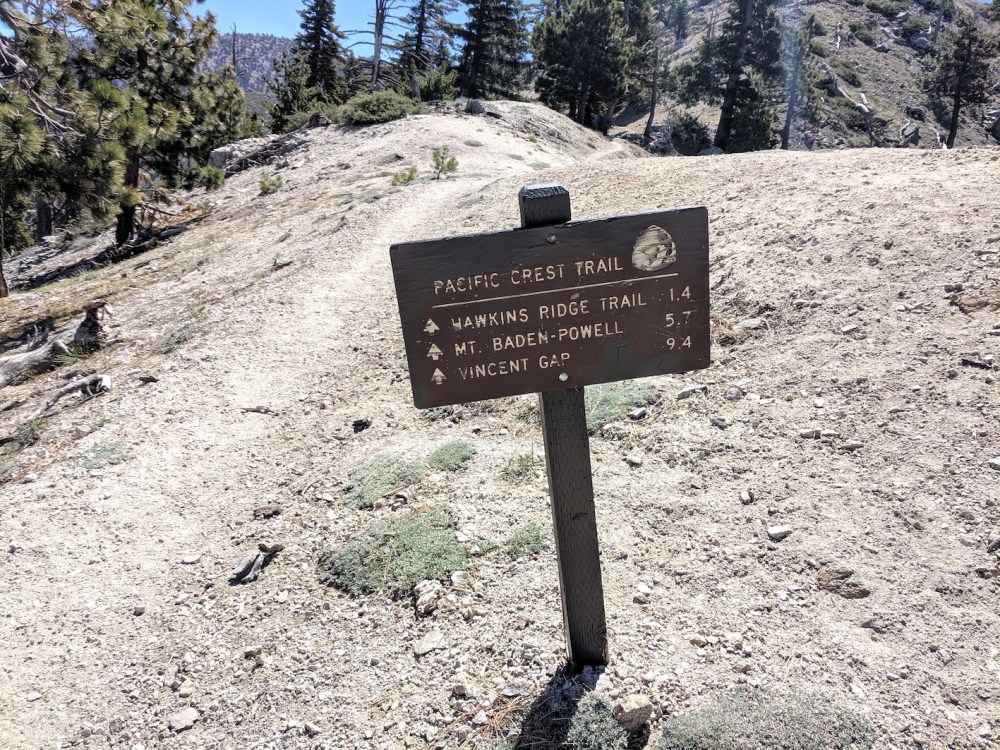 IMG_20190609_103551_resized