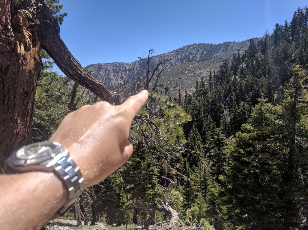 IMG_20190609_104154_resized