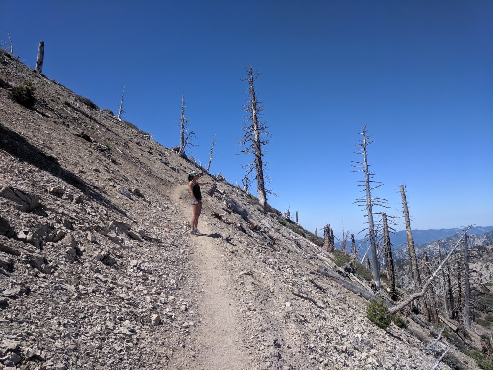 IMG_20190609_105956_resized