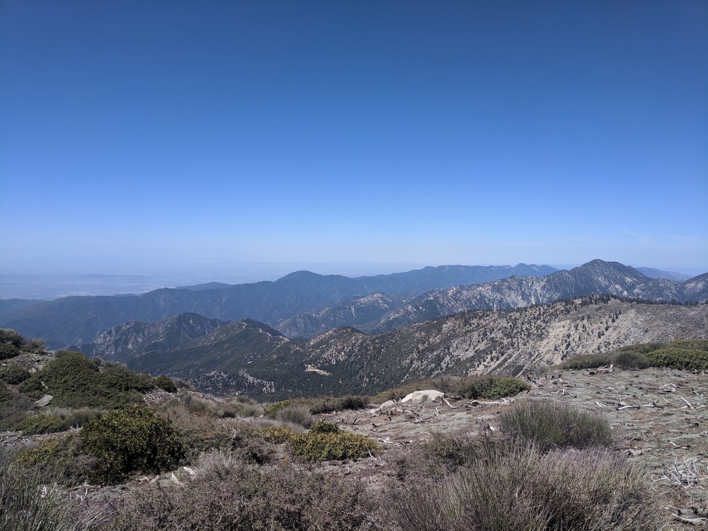 IMG_20190609_110740_resized