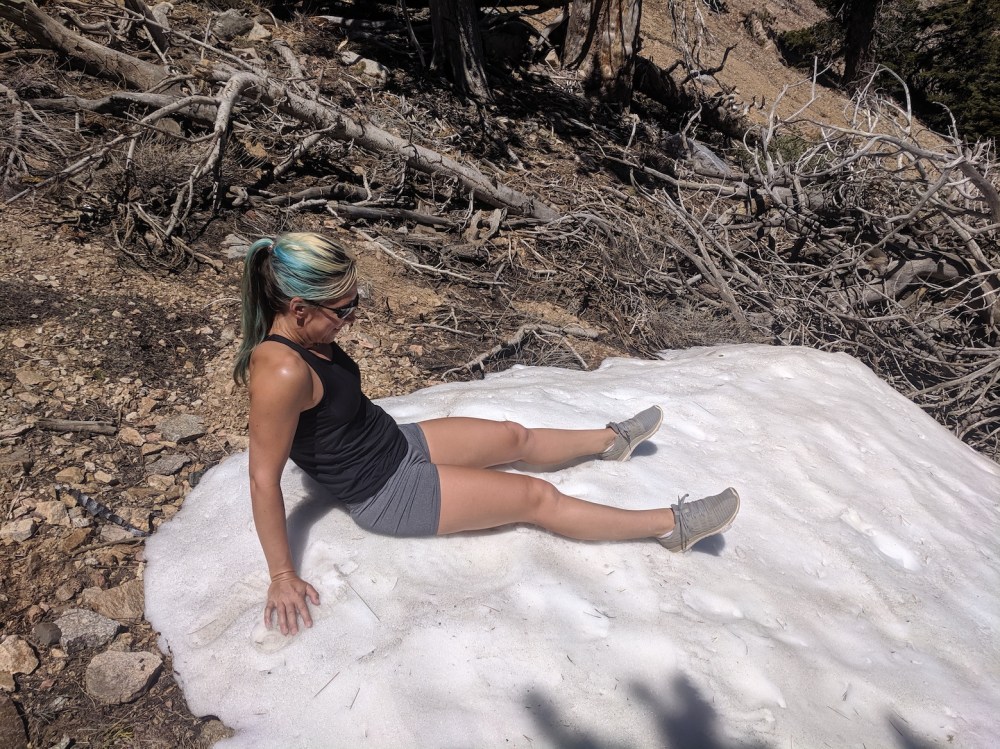 IMG_20190609_111338_resized