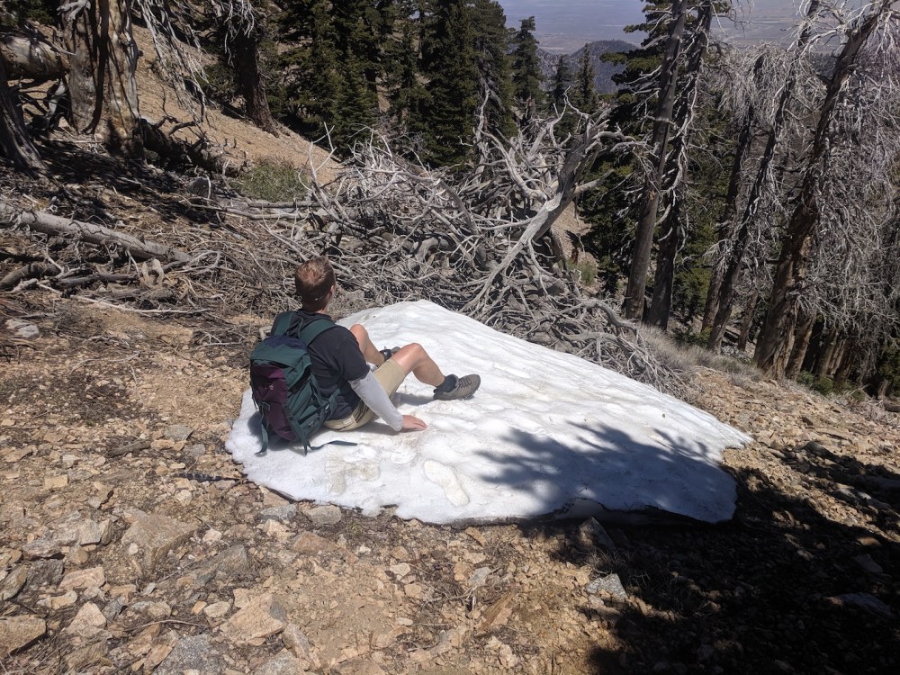 IMG_20190609_111418_resized