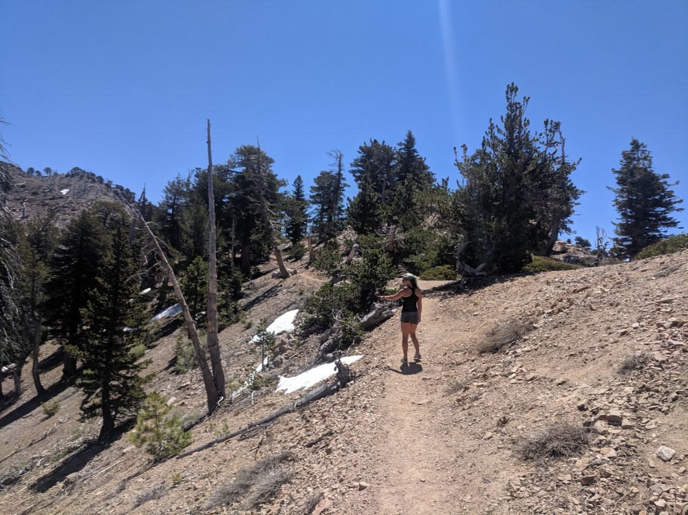 IMG_20190609_111808_resized