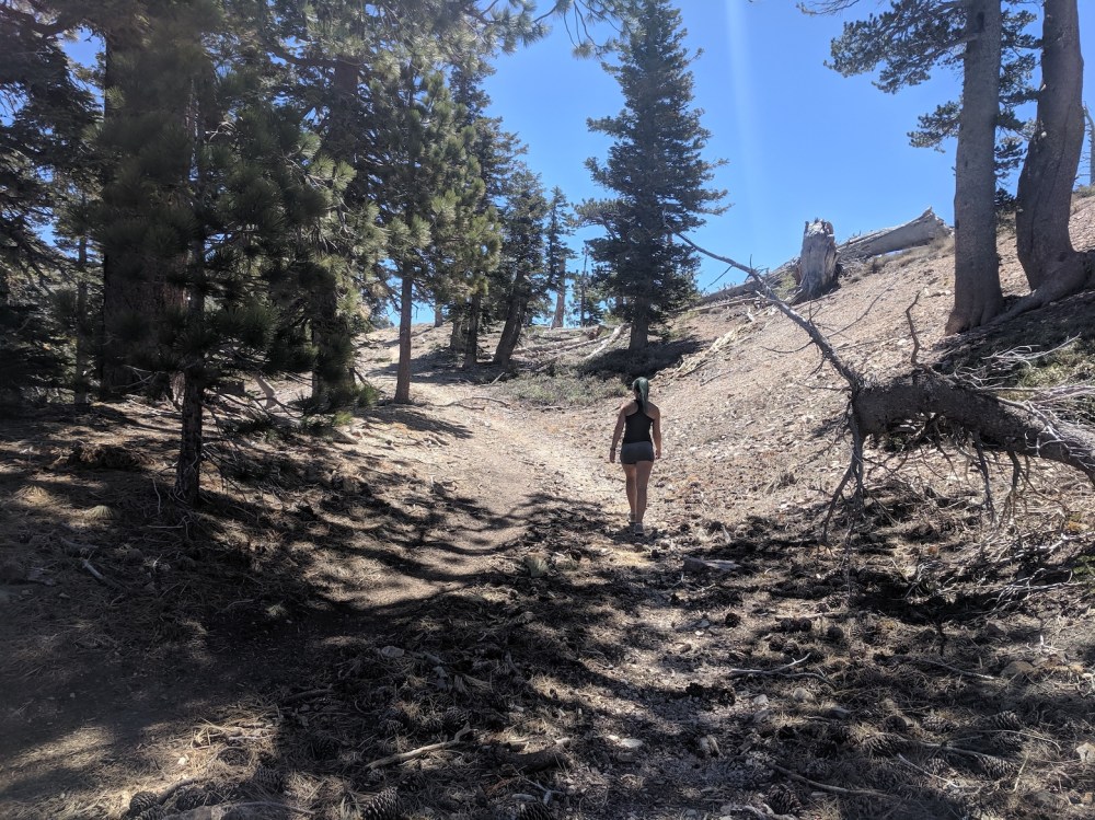 IMG_20190609_111921_resized