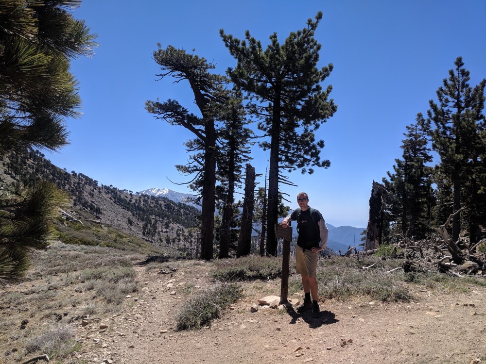 IMG_20190609_112116_resized