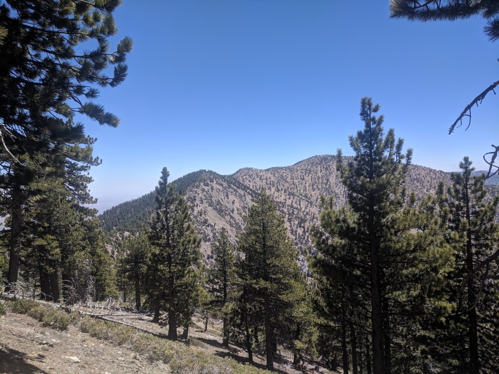 IMG_20190609_120739_resized