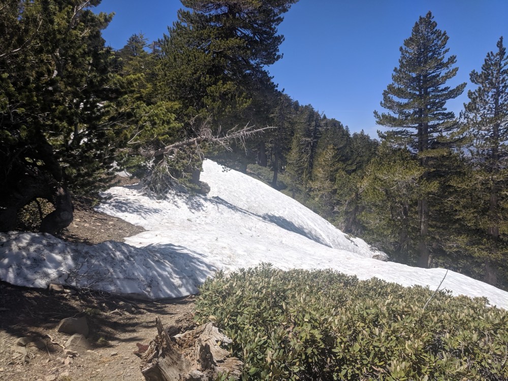 IMG_20190609_121236_resized