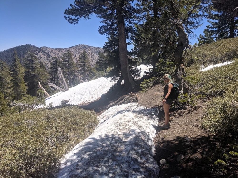 IMG_20190609_121452_resized