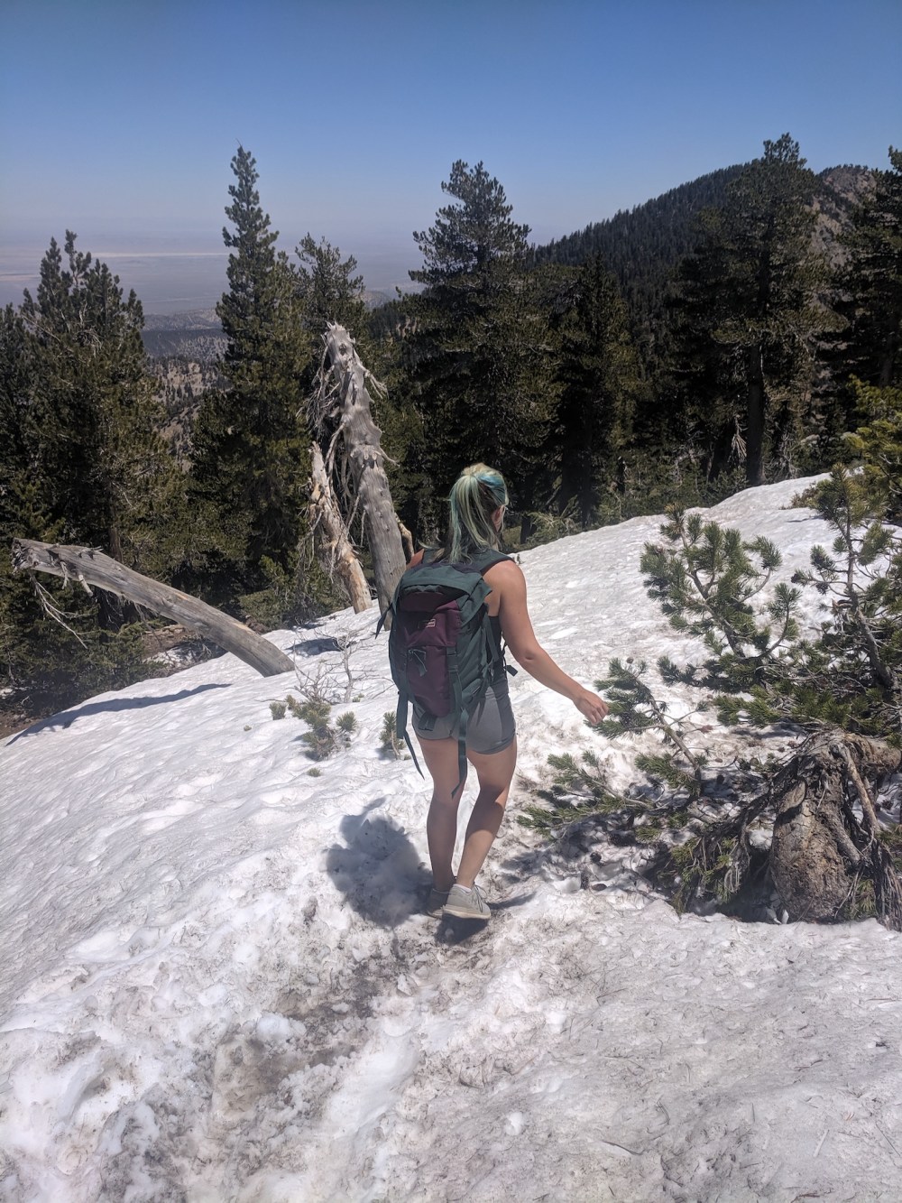 IMG_20190609_121556_resized