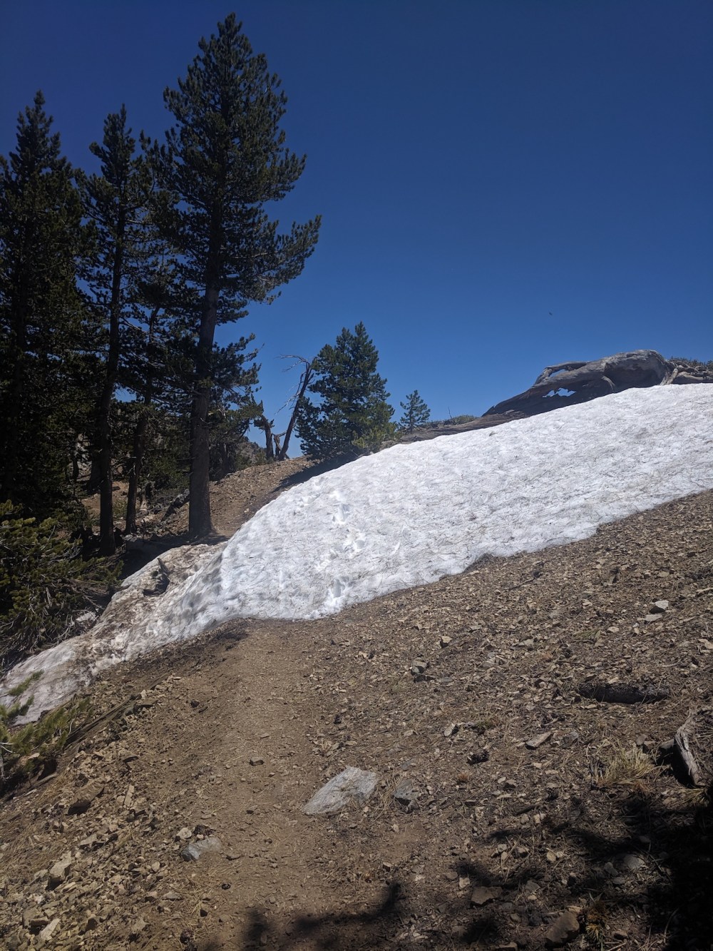 IMG_20190609_125244_resized