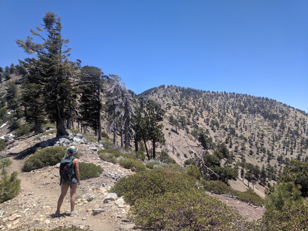 IMG_20190609_125923_resized