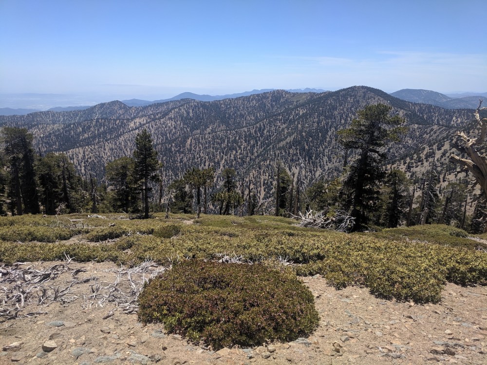 IMG_20190609_133319_resized