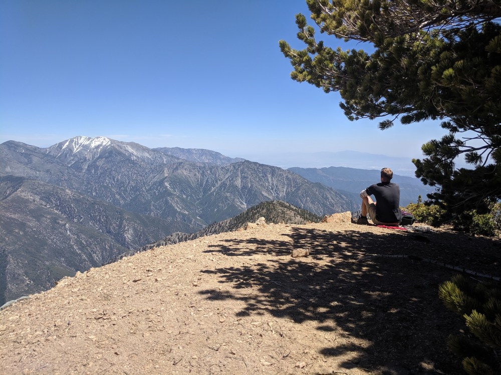 IMG_20190609_140131_resized