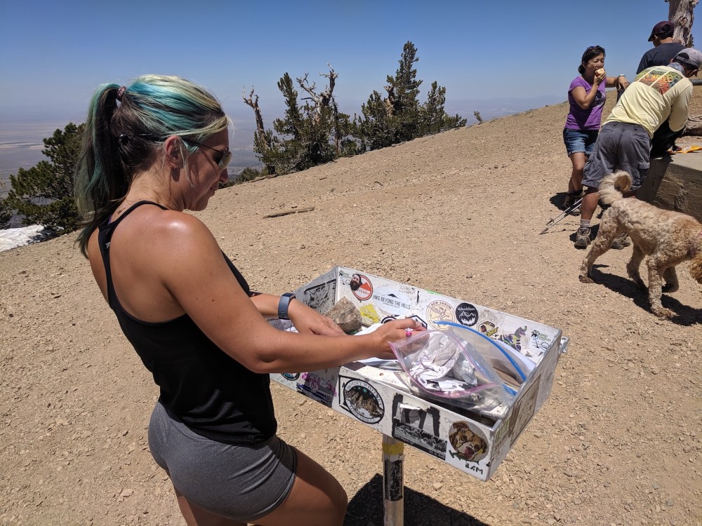 IMG_20190609_140856_resized