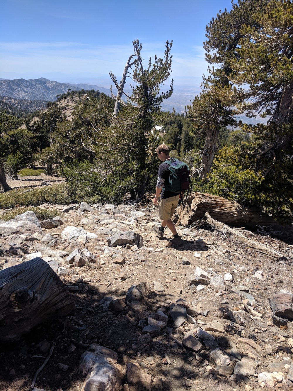 IMG_20190609_141205_resized