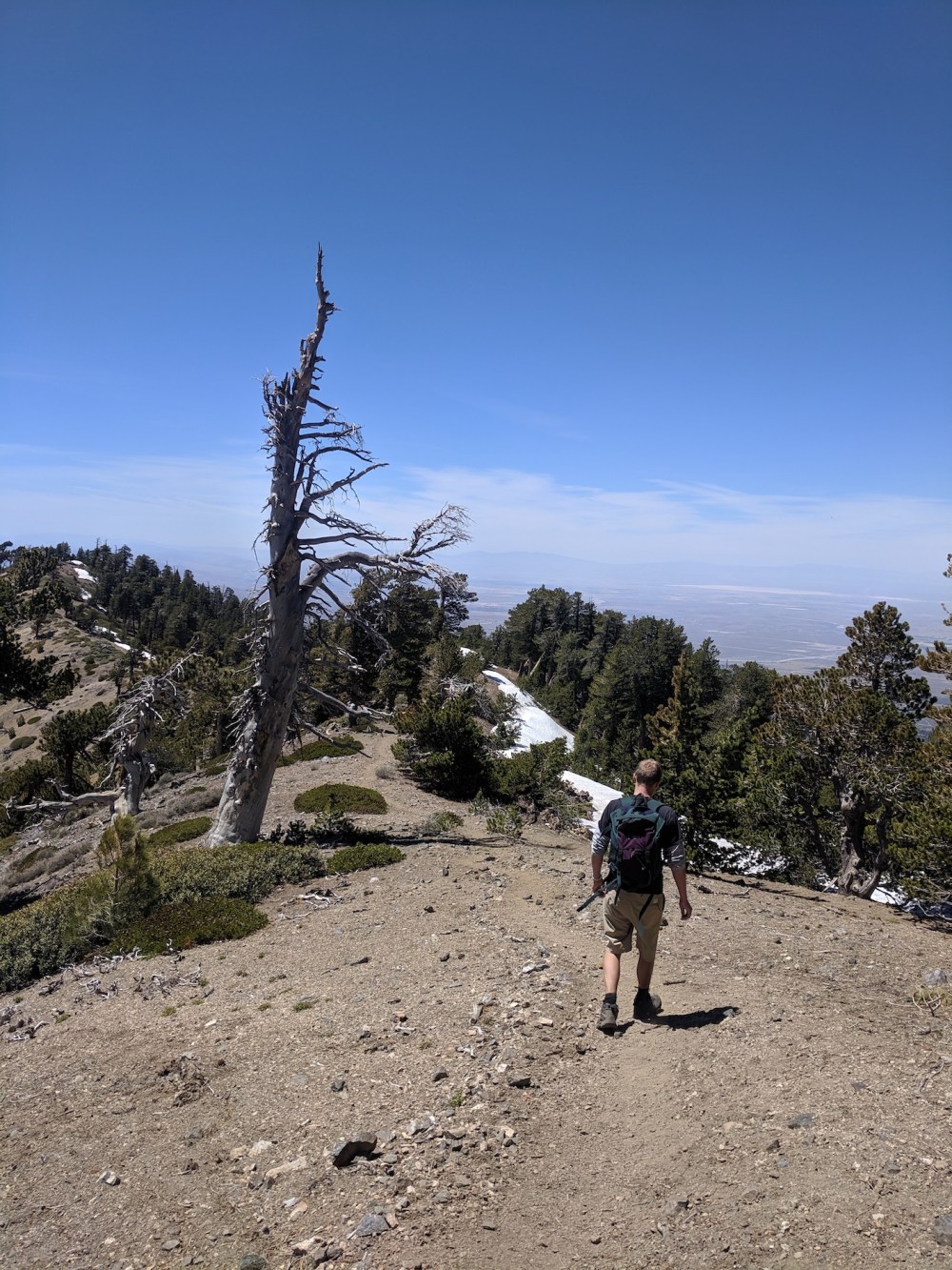 IMG_20190609_141346_resized