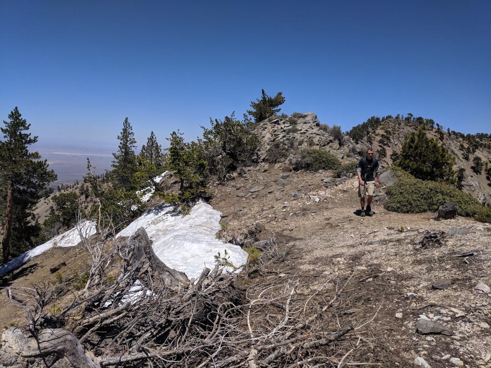 IMG_20190609_143438_resized