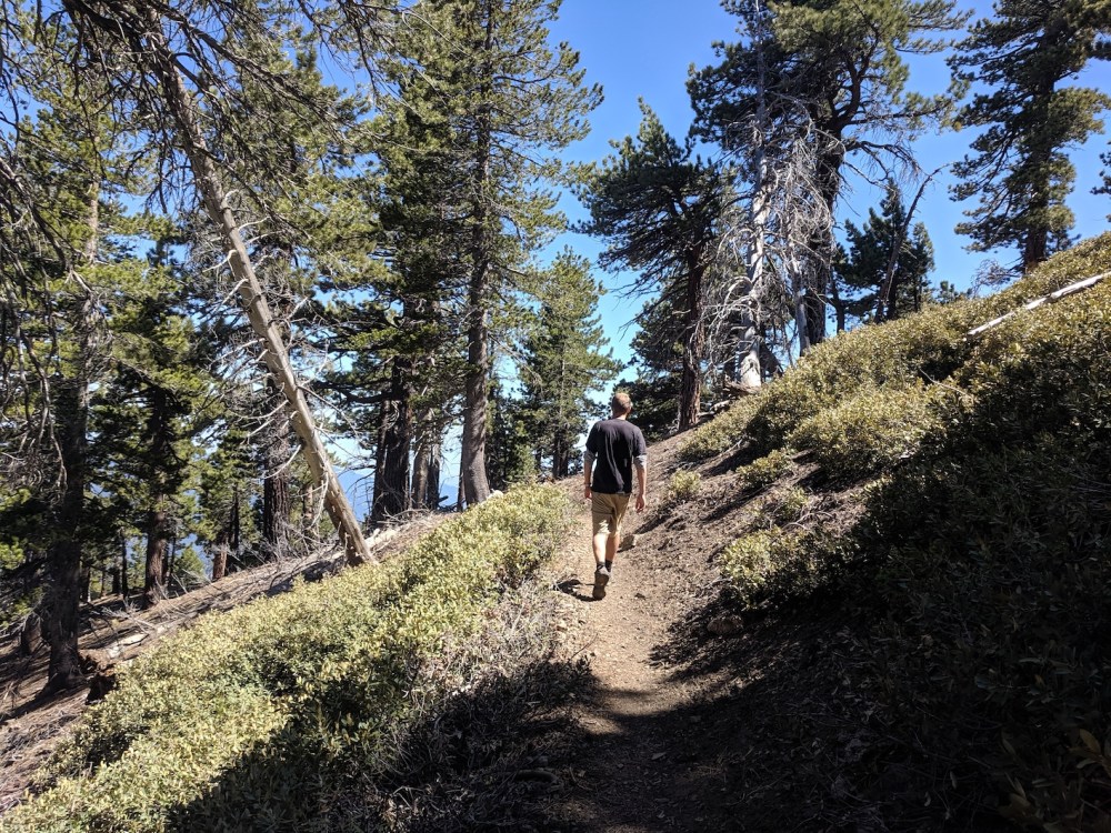 IMG_20190609_151644_resized