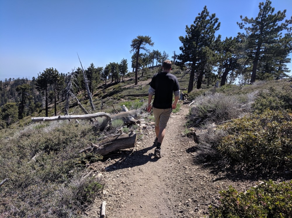 IMG_20190609_152254_resized