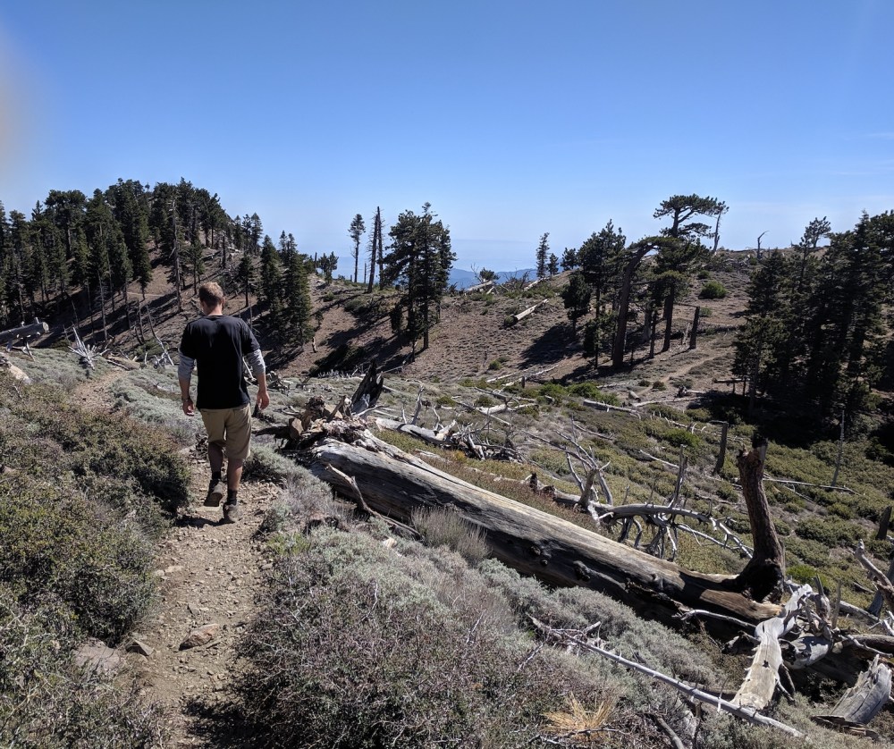 IMG_20190609_154330_resized