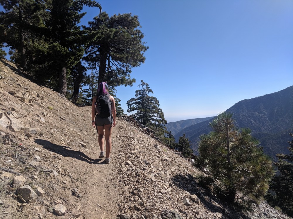 IMG_20190811_092910_resized