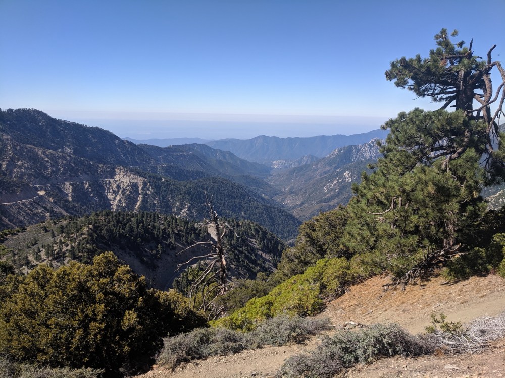 IMG_20190811_095134_resized