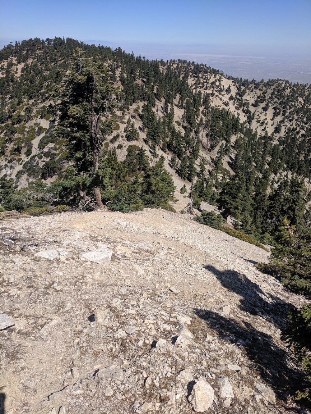 IMG_20190811_103938_resized