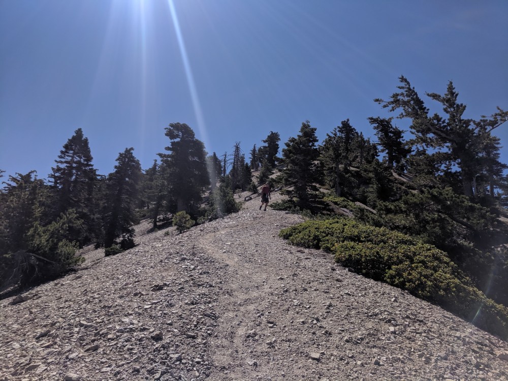 IMG_20190811_104154_resized