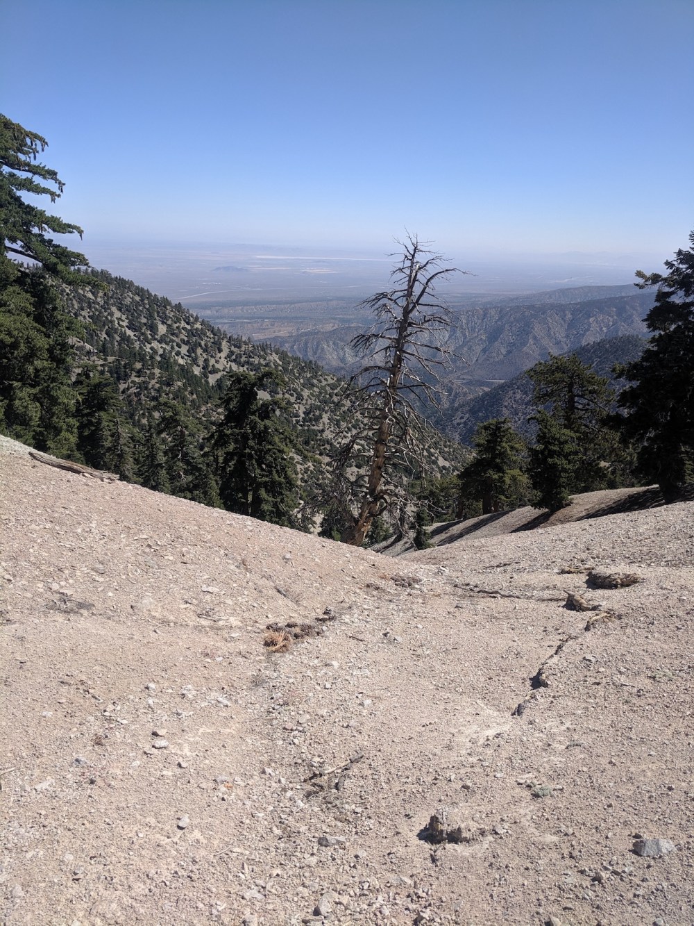 IMG_20190811_104426_resized