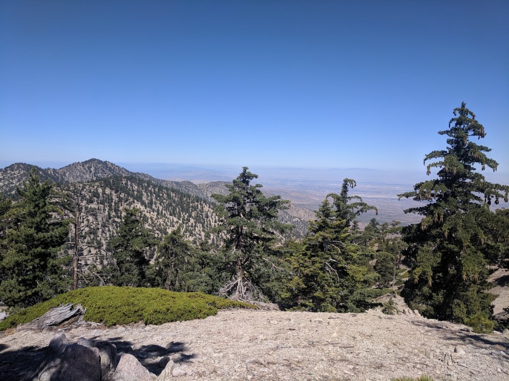 IMG_20190811_110046_resized