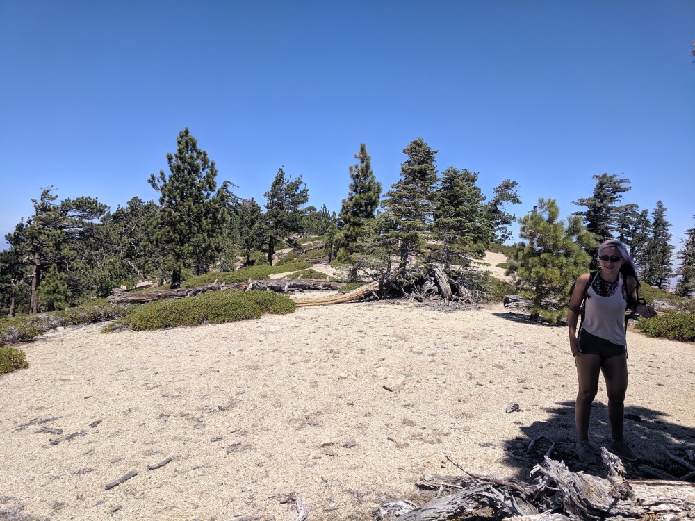 IMG_20190811_114514_resized