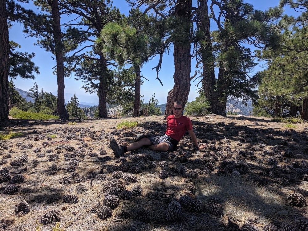 IMG_20190811_120137_resized