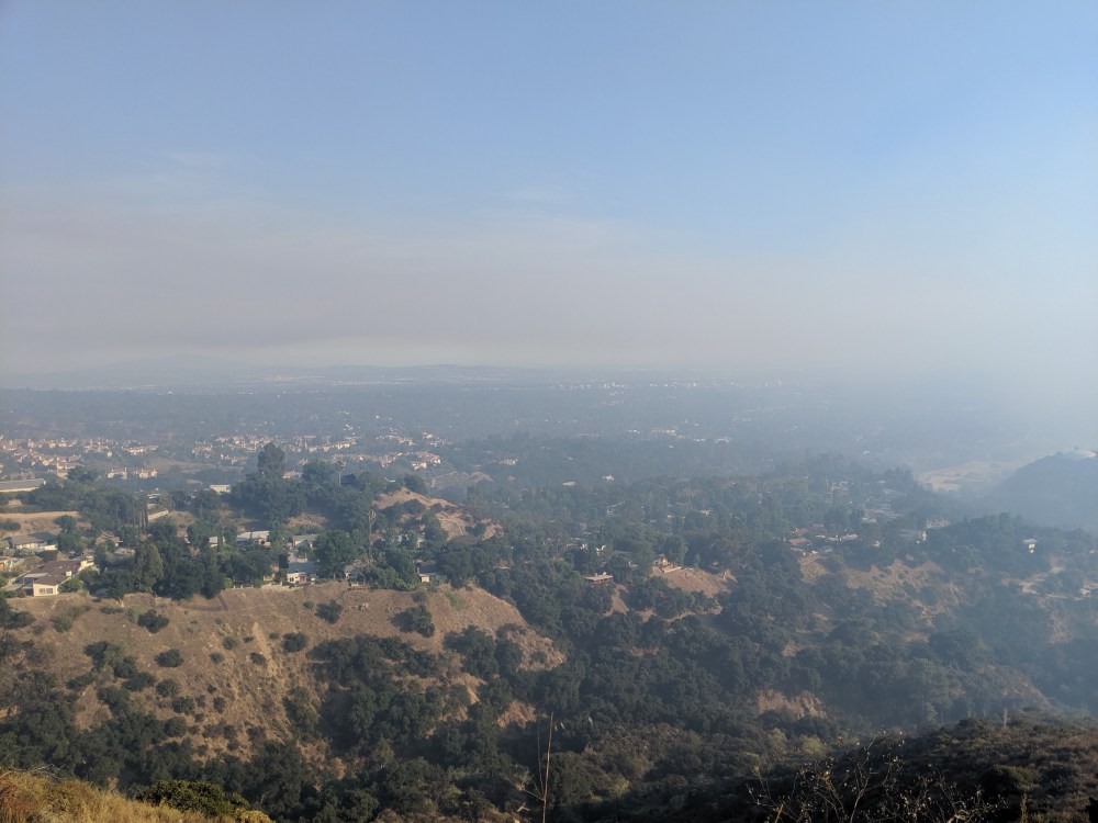 IMG_20190825_174038_resized