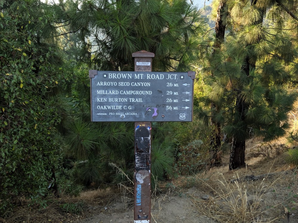 IMG_20190825_180916_resized