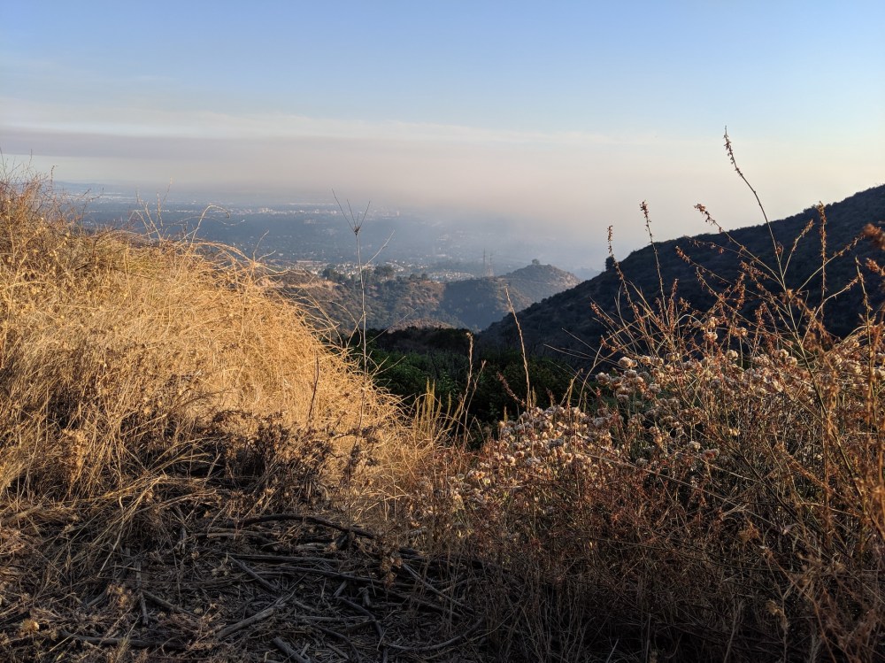 IMG_20190825_182047_resized