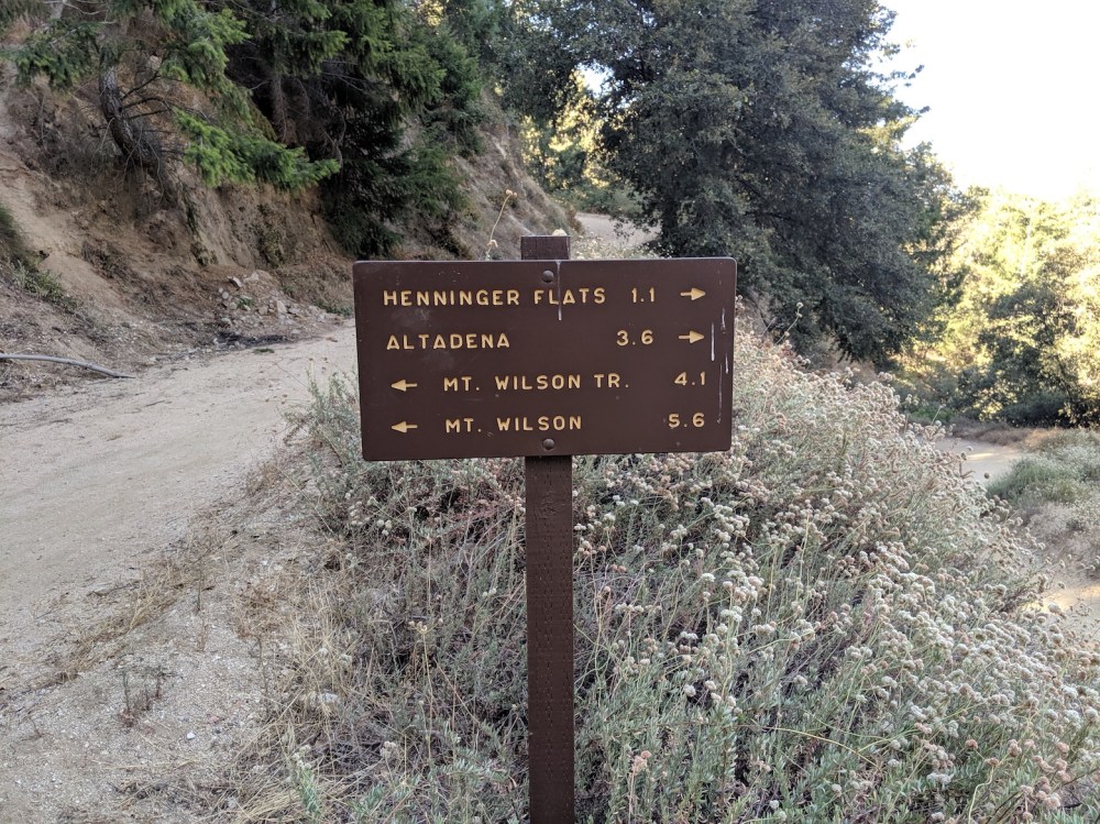 IMG_20190907_093208_resized