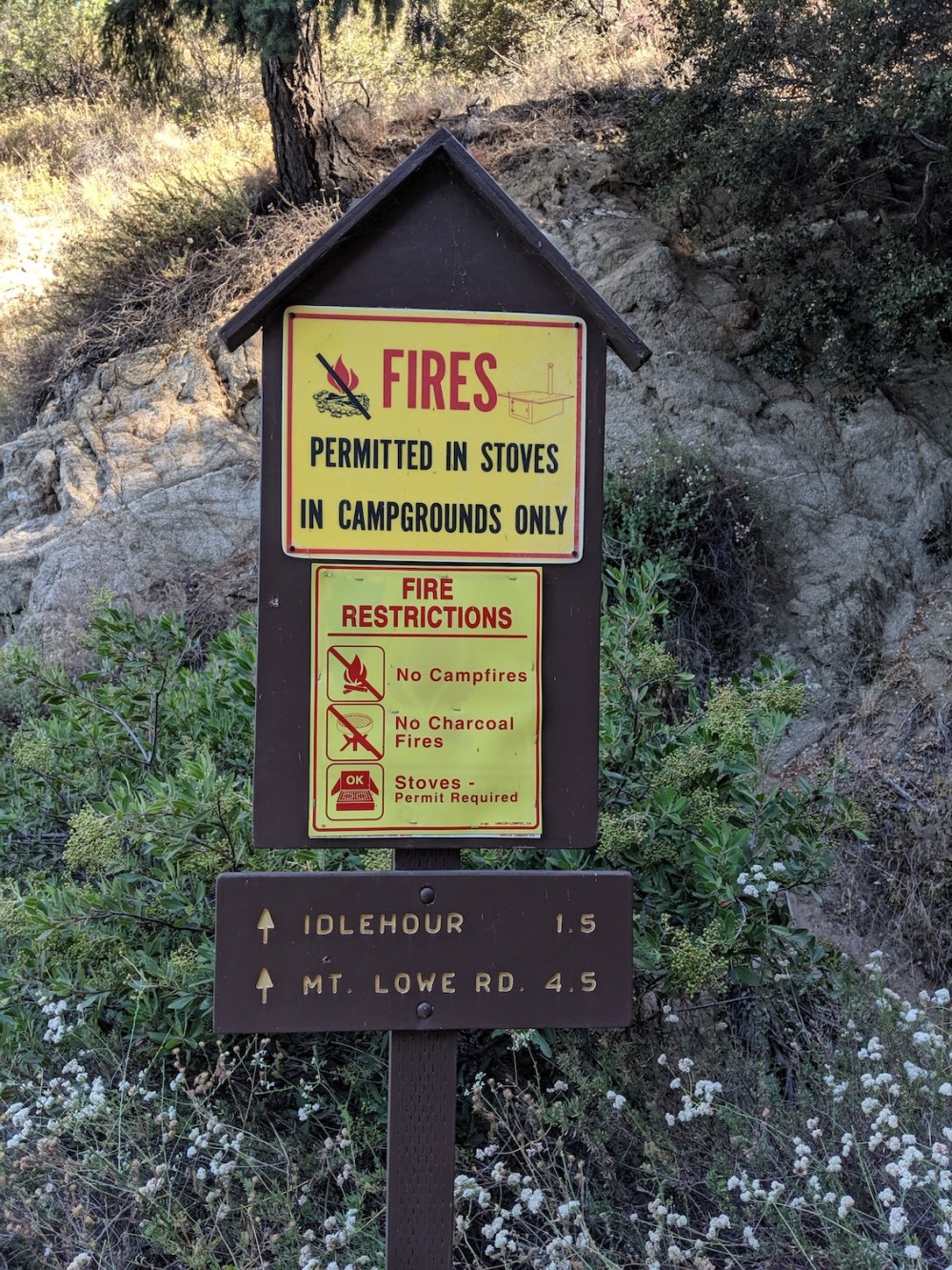 IMG_20190907_093247_resized