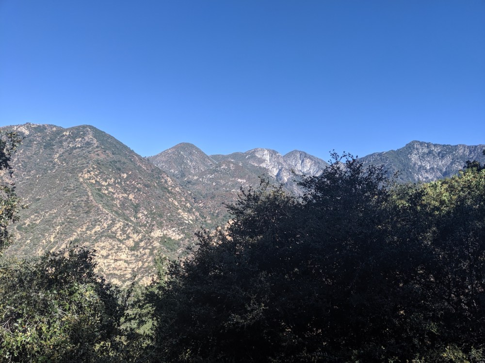 IMG_20190907_094746_resized