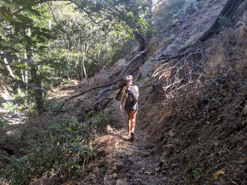 IMG_20190907_102052_resized