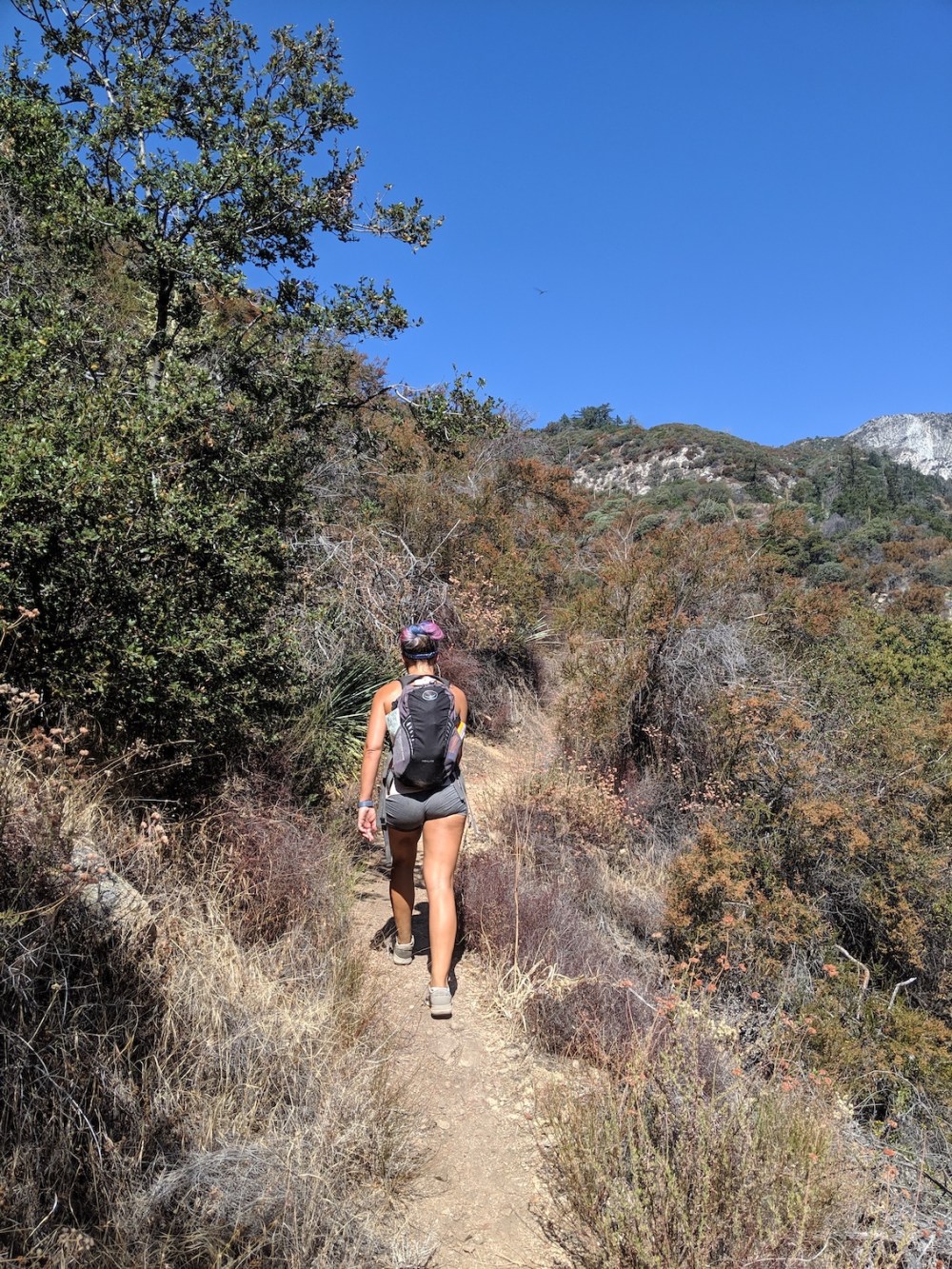 IMG_20190907_104135_resized