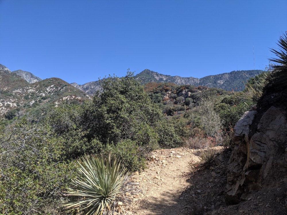 IMG_20190907_110247_resized