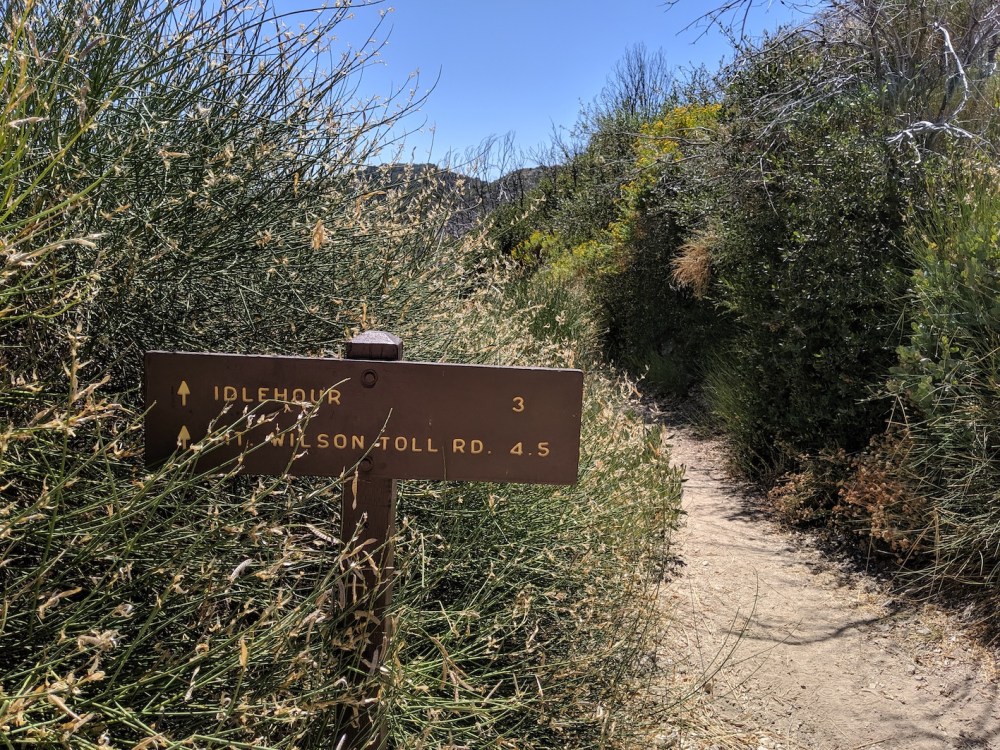 IMG_20190907_115853_resized