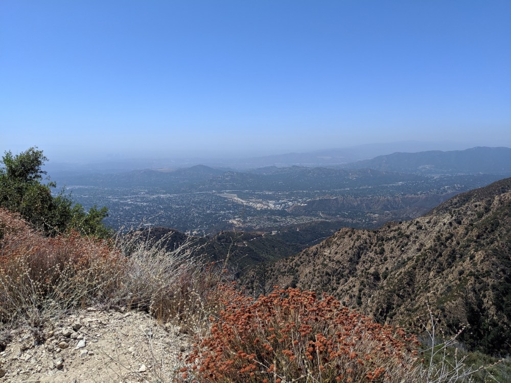 IMG_20190907_124032_resized