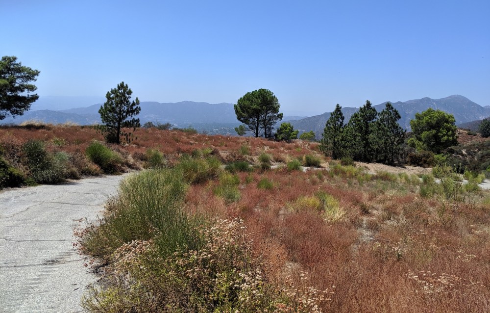 IMG_20190907_133356_resized