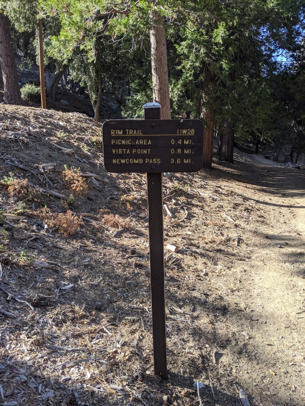 IMG_20191109_134258_resized