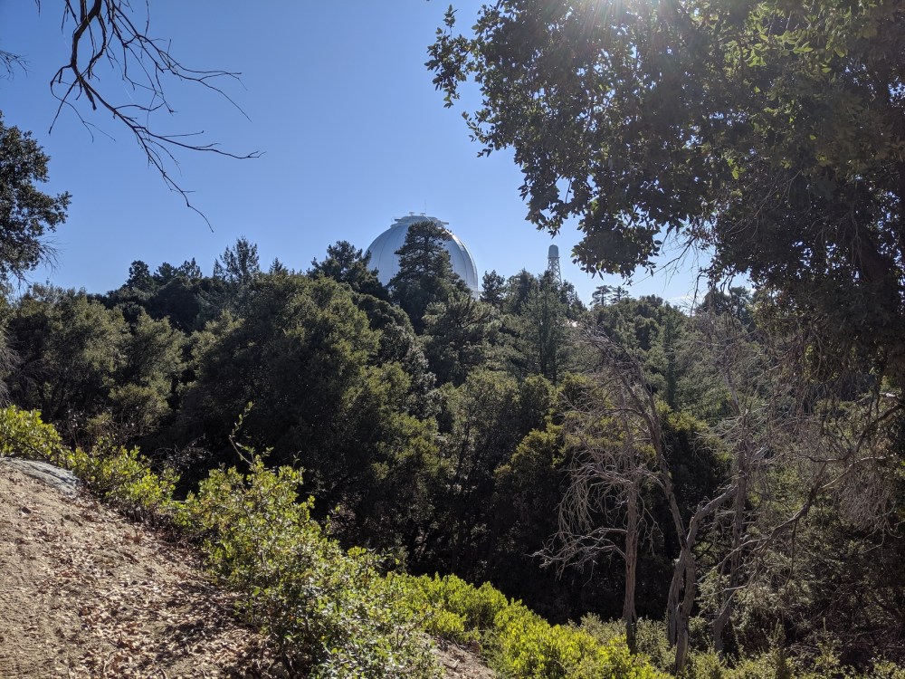 IMG_20191109_135541_resized