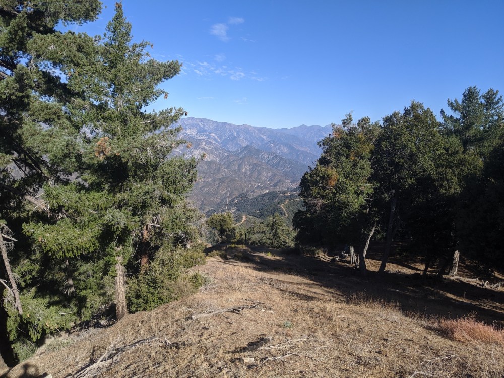 IMG_20191109_135704_resized