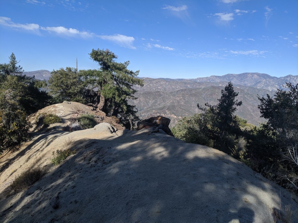 IMG_20191109_140004_resized