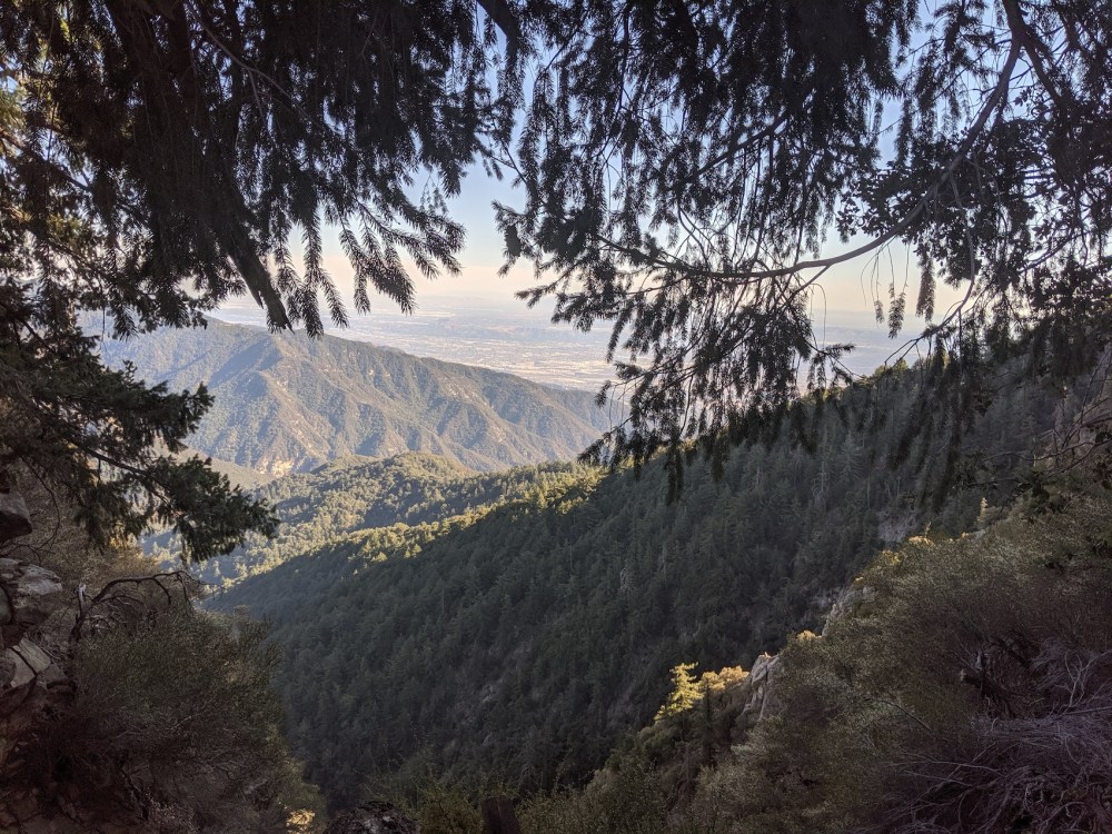 IMG_20191109_140412_resized