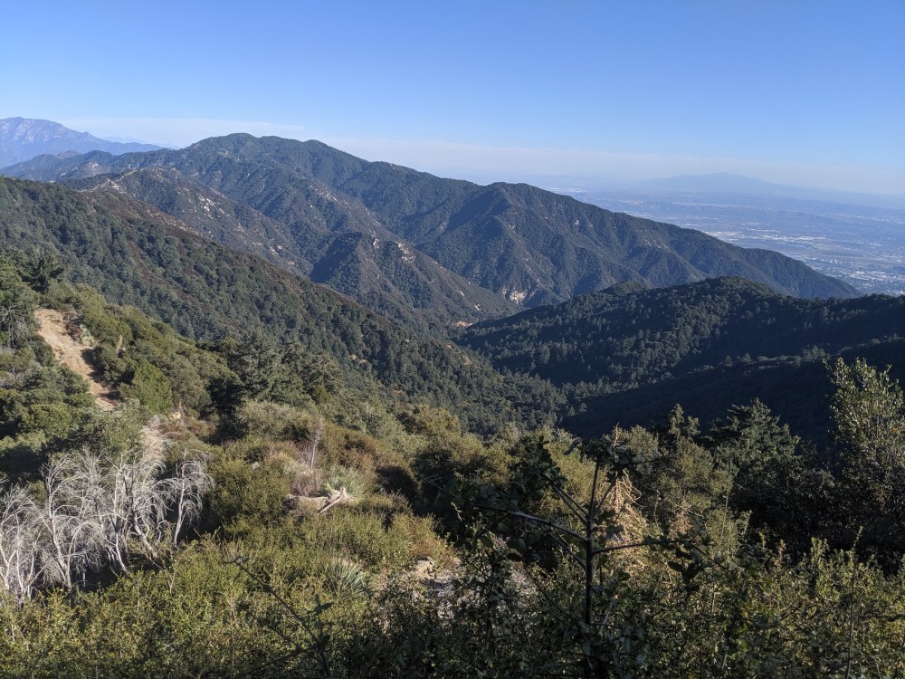 IMG_20191109_142507_resized